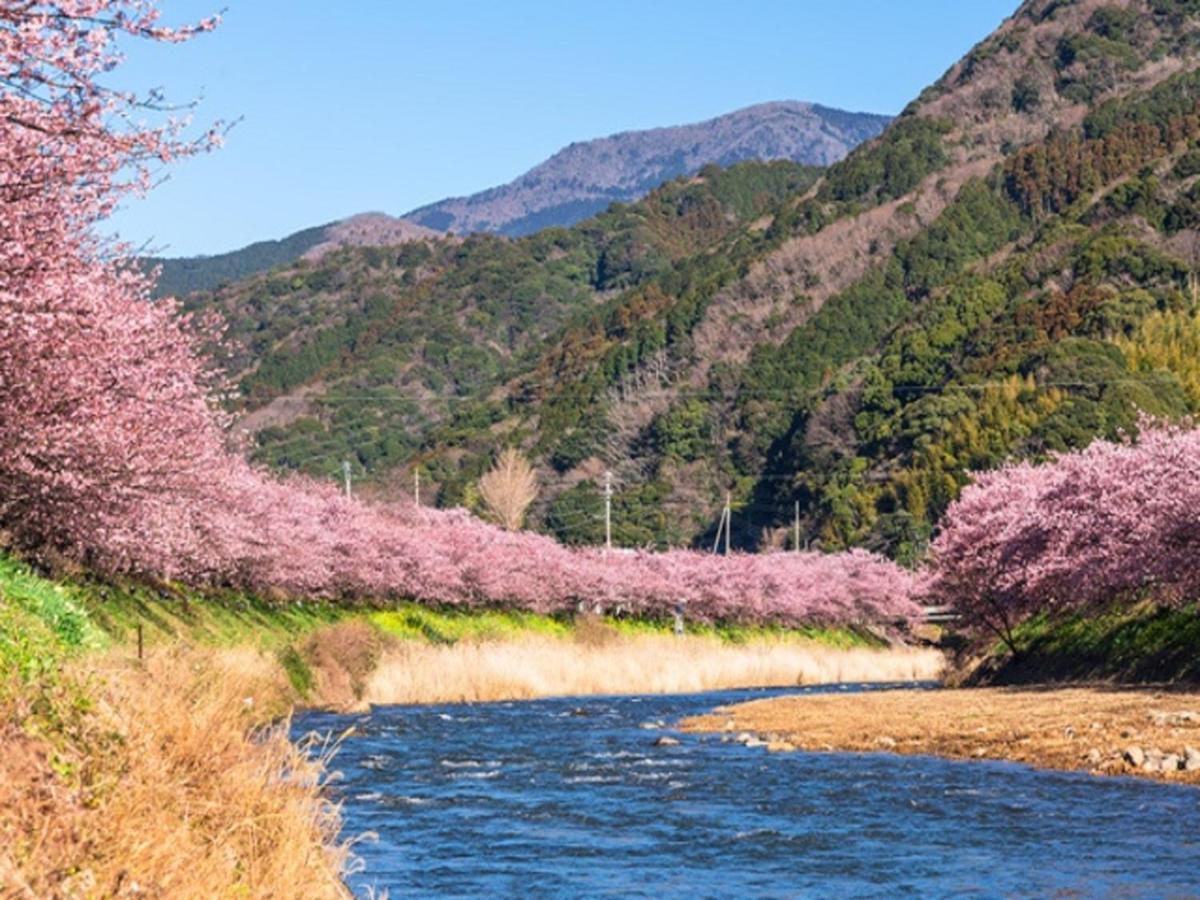 Hotel Cetus Royal Higashiizu Buitenkant foto